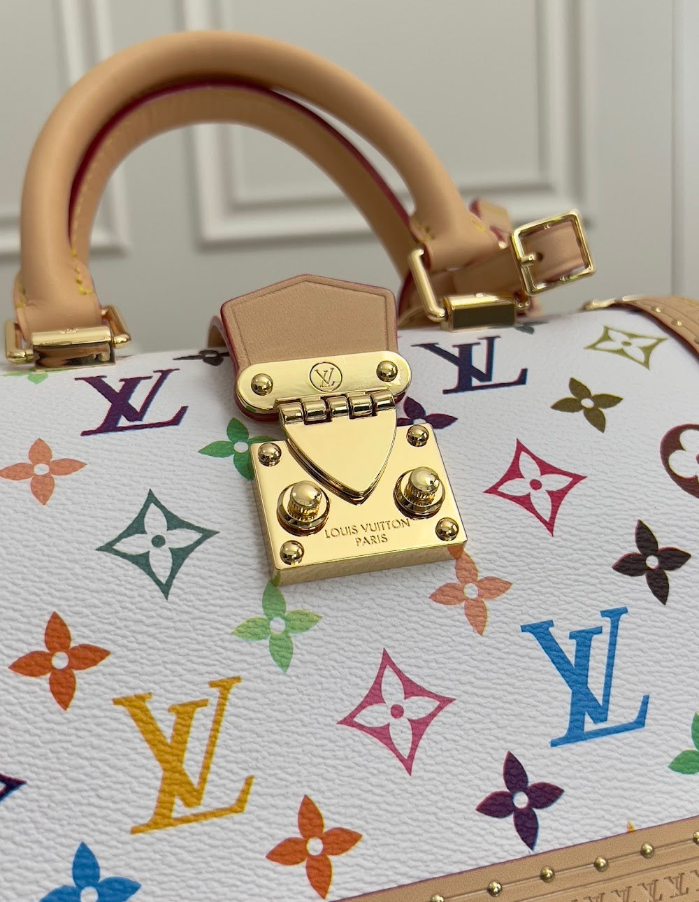 Anum Bags LVn Luxury Bag --79511