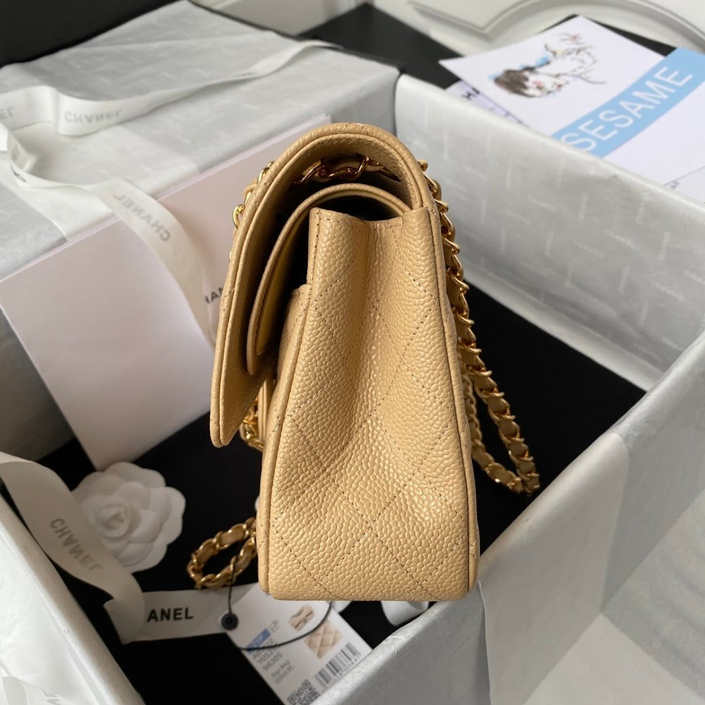 new-luxury-designer-bags-nm20638