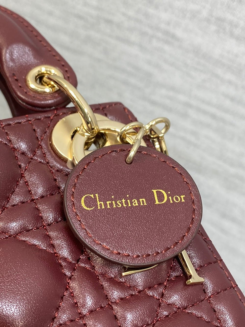 Ezyycart Bags Diorn Luxury Bag --114984
