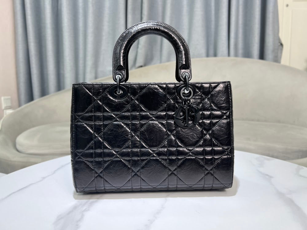 Ezyycart Bags Diorn Luxury Bag --115069