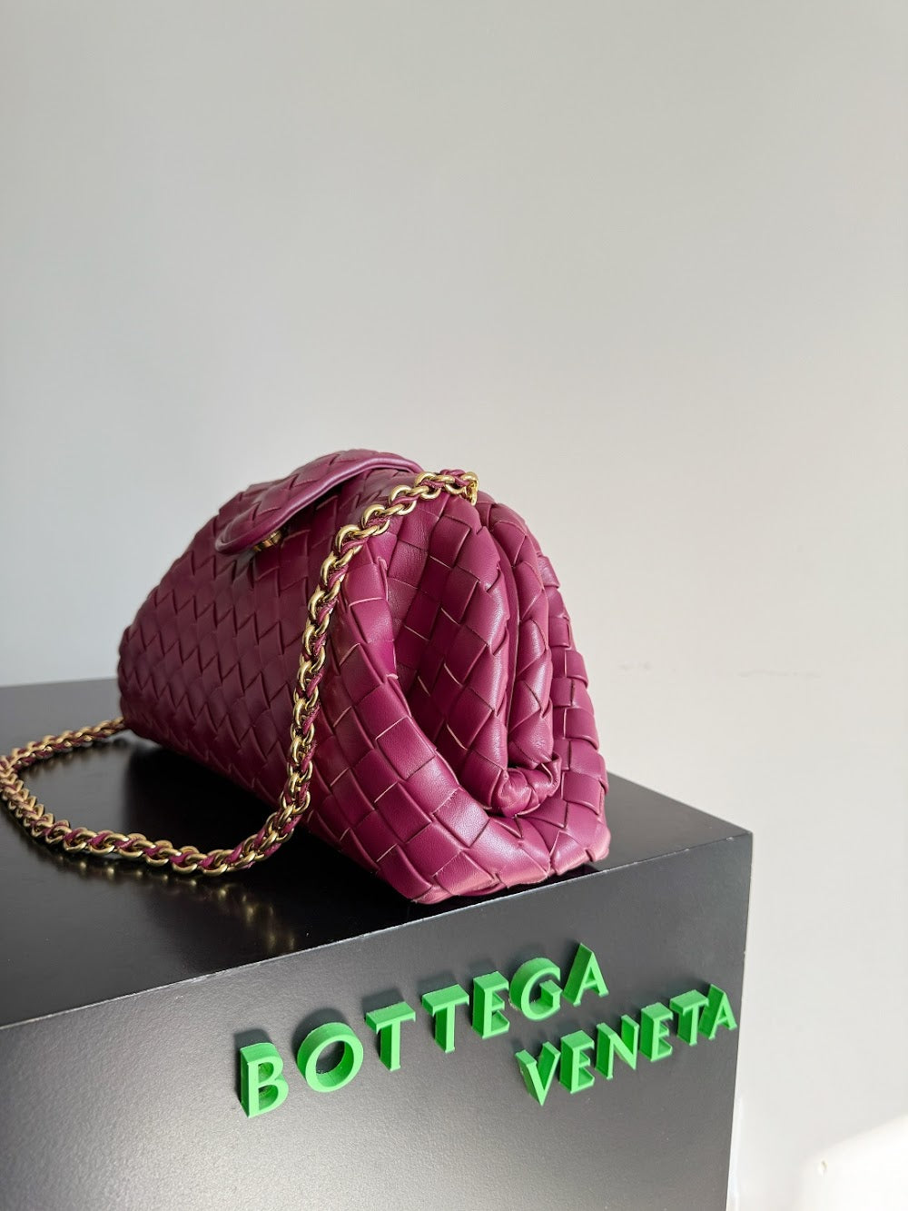 Ezyycart Bags Bottegan Luxury Bag --91301