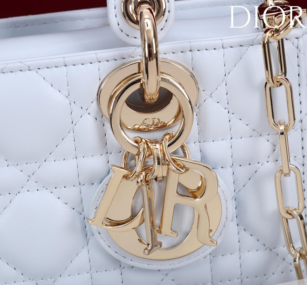 Ezyycart Bags Diorn Luxury Bag --115415