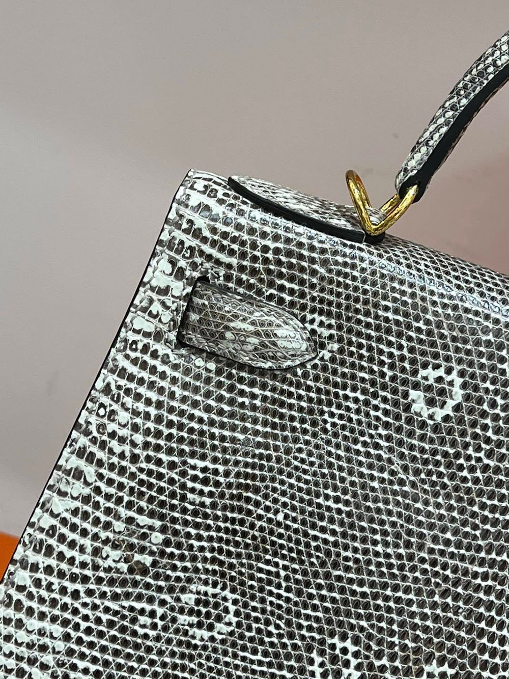 Anum Bags Hermesn Luxury Bag --117127
