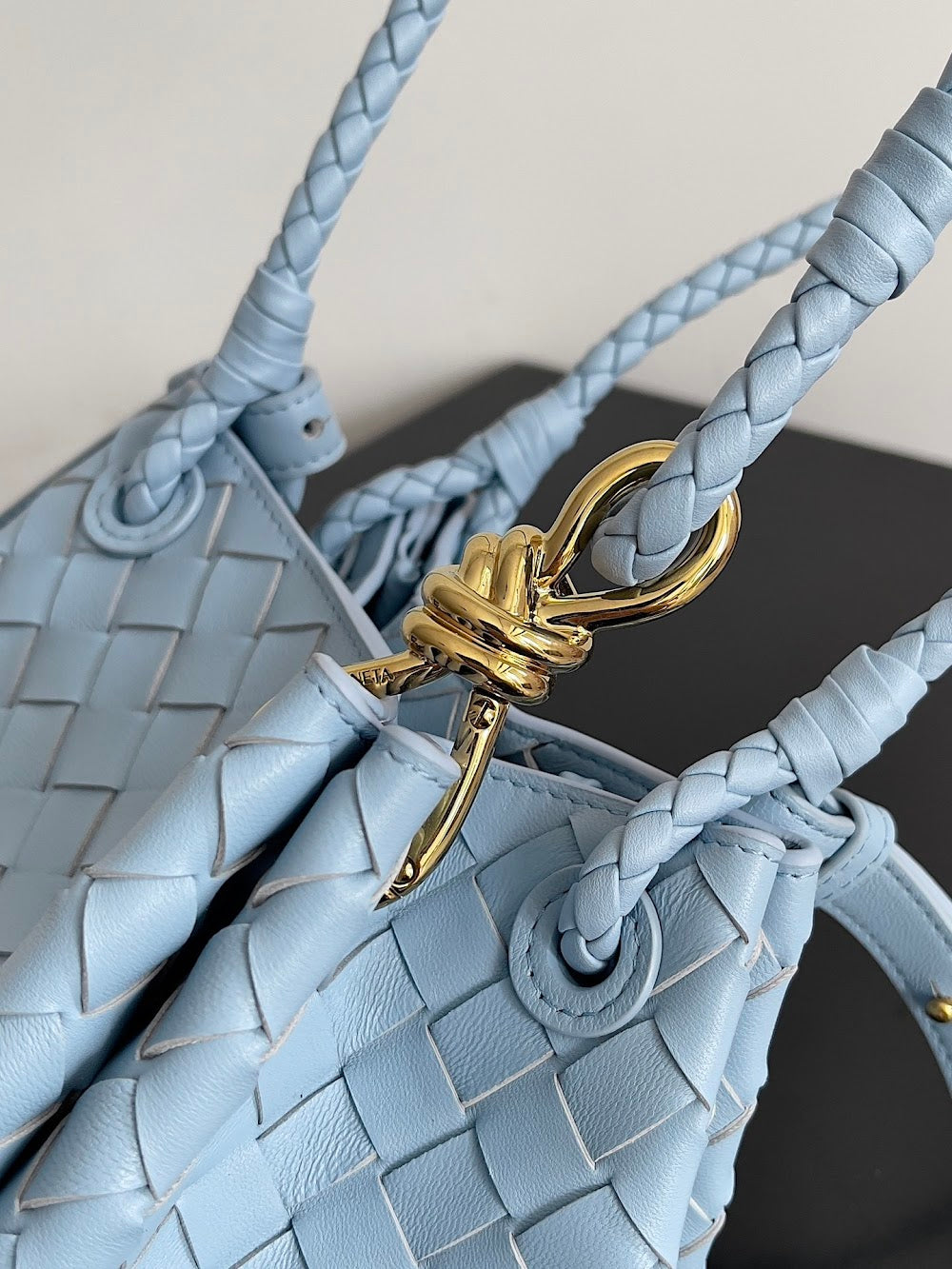 Ezyycart Bags Bottegan Luxury Bag --91115