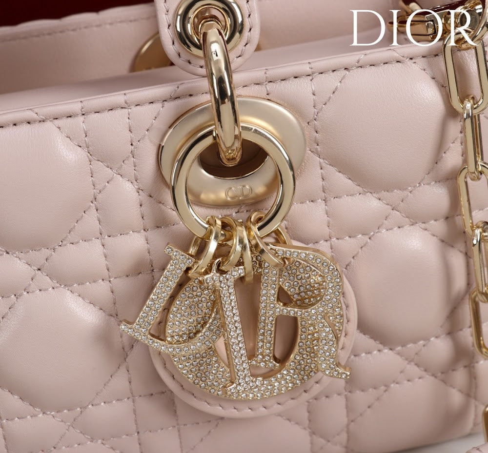 Anum Bags Diorn Luxury Bag --114785