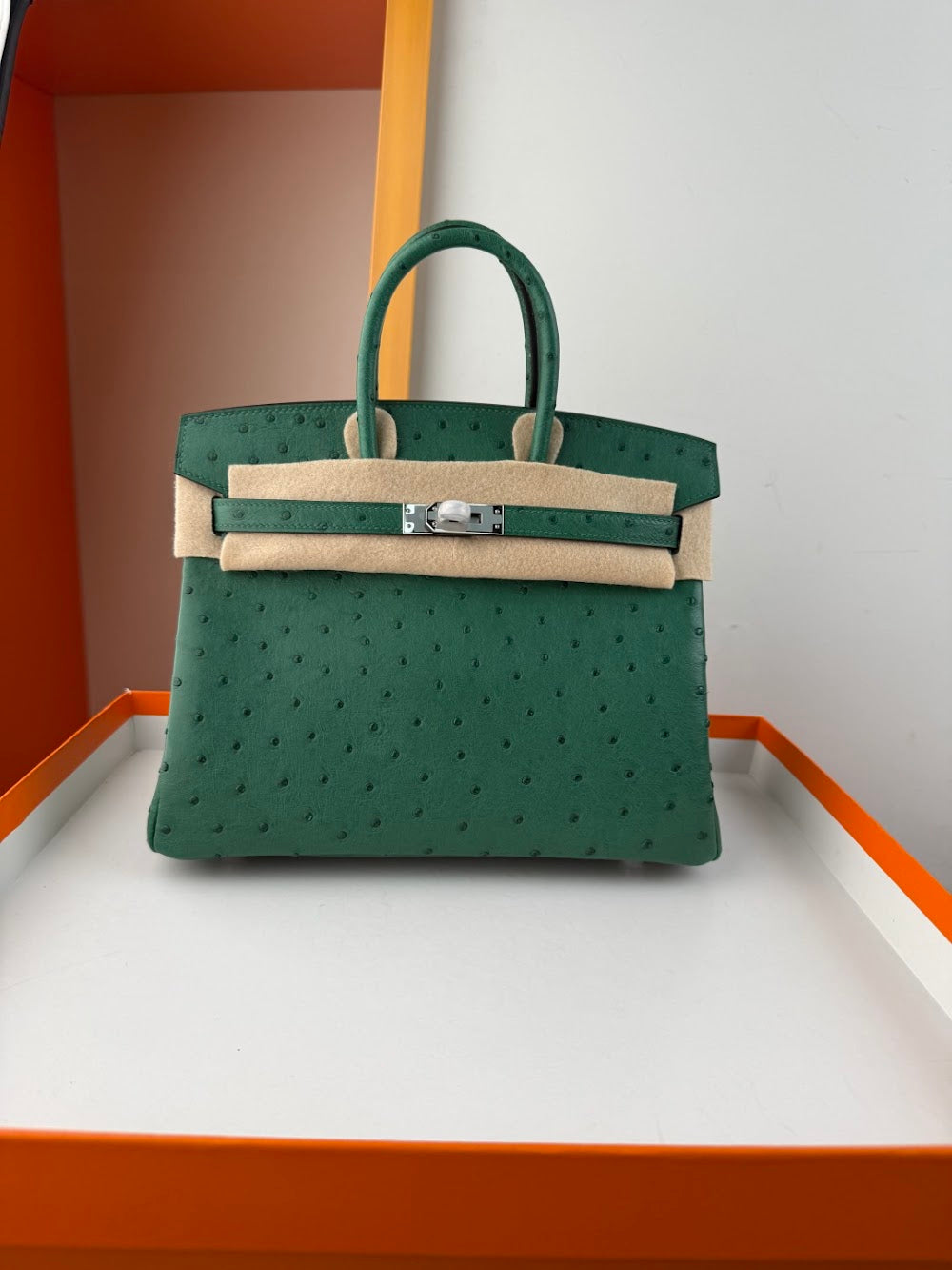 Anum Bags Hermesn Luxury Bag --116764