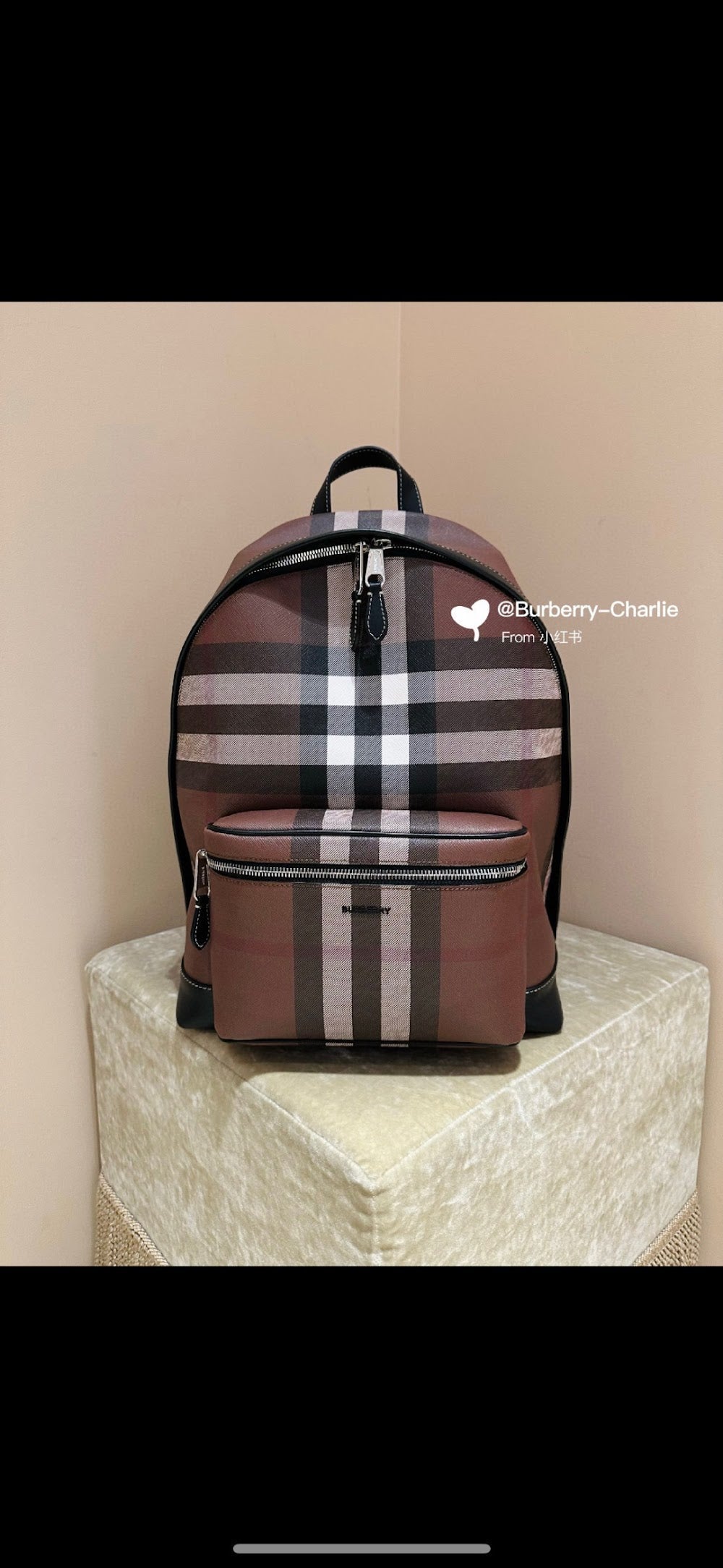 Ezyycart Bags Burberryn Luxury Bag --91649