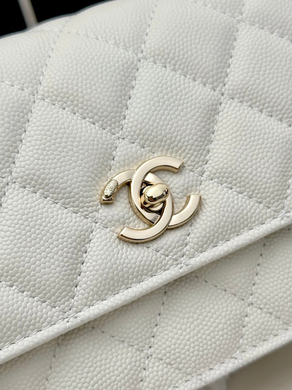 Anum Bags CHn Luxury Bag --113933