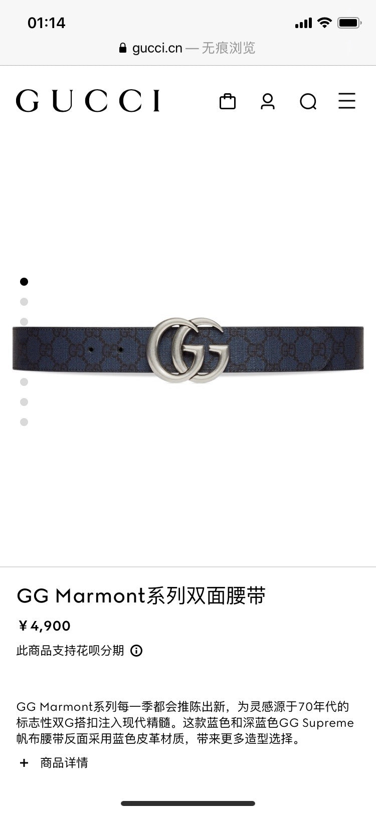Ezyycart Bags Guccin Luxury Belt --107974
