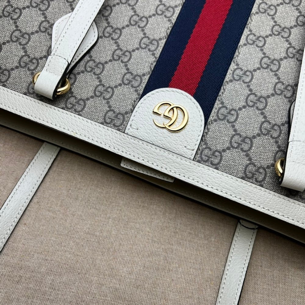 Ezyycart Bags Guccin Luxury Bag --95510