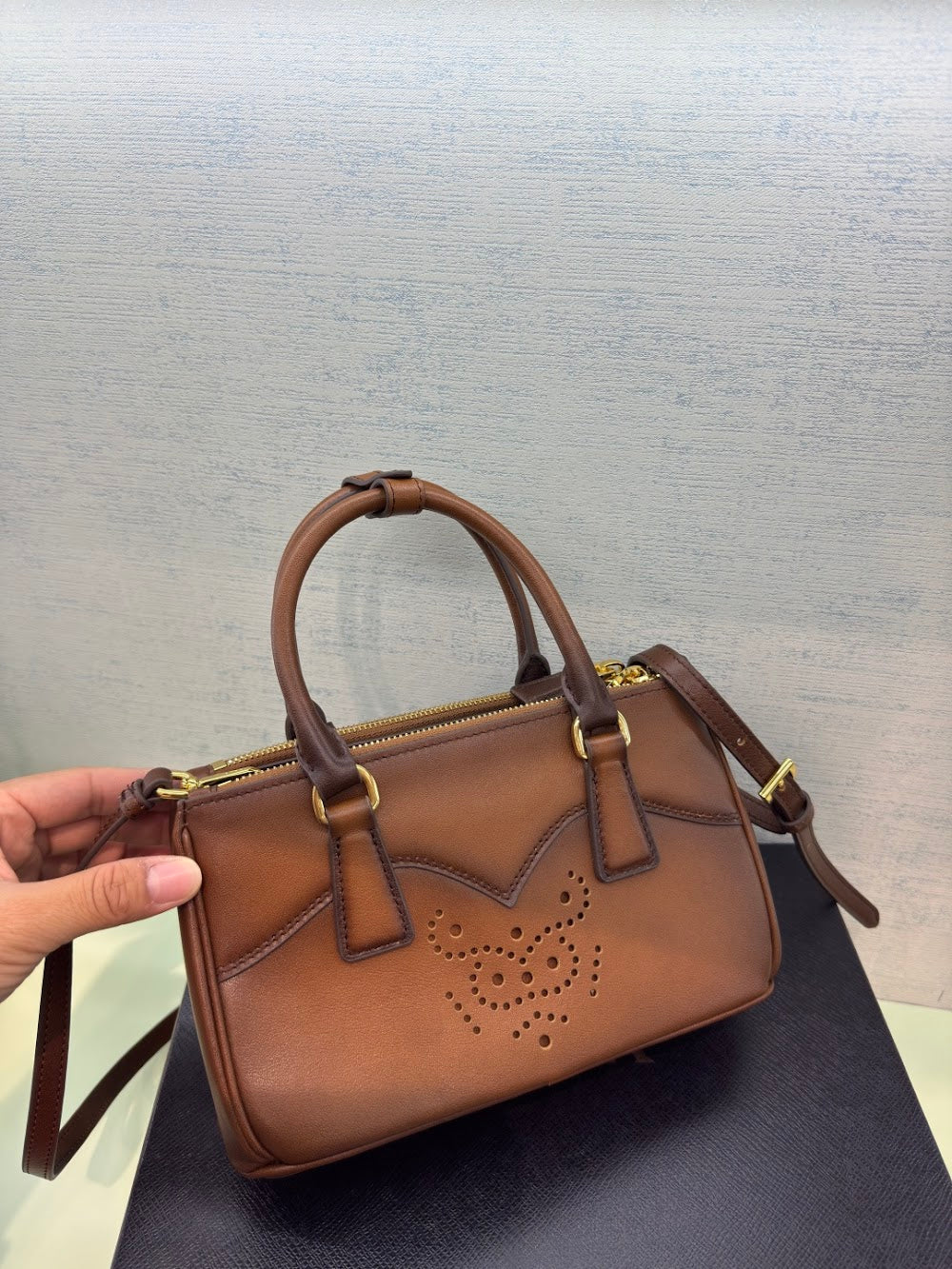 Ezyycart Bags Pradn Luxury Bag --102958