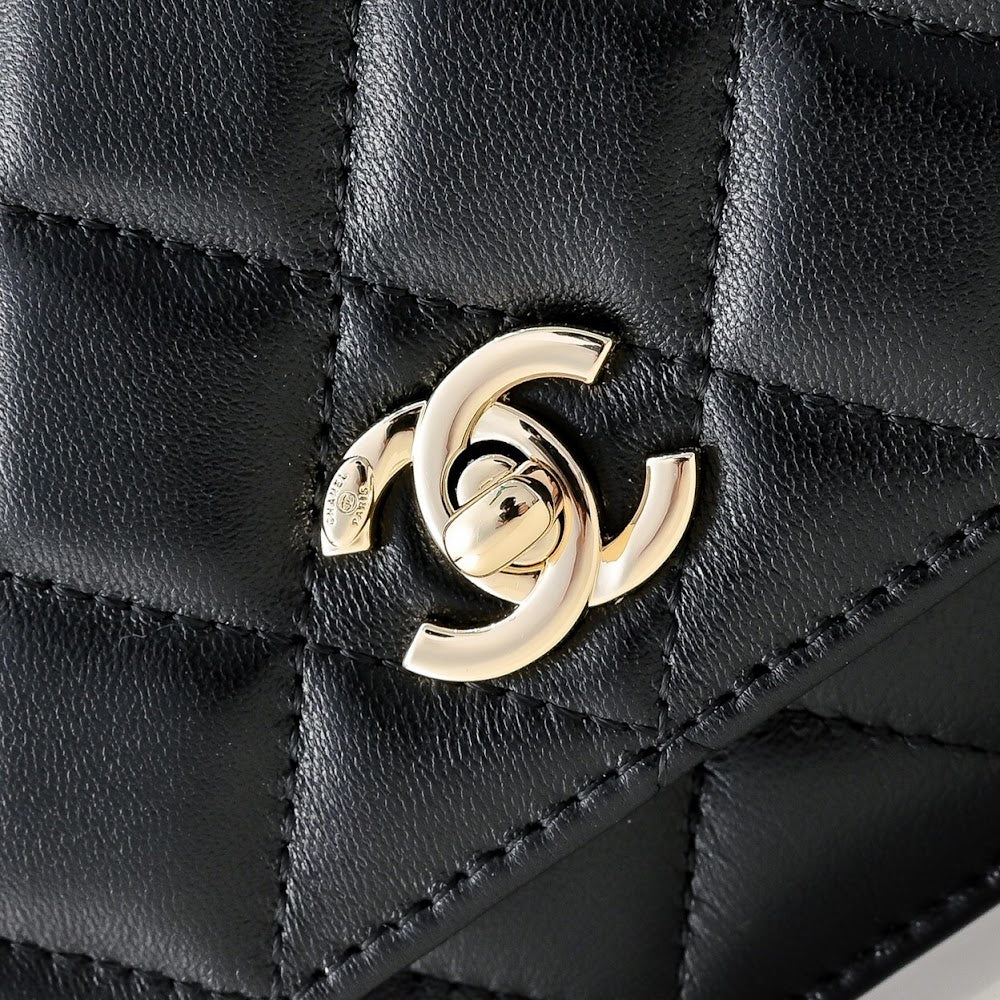 Anum Bags CHn Luxury Bag --114439