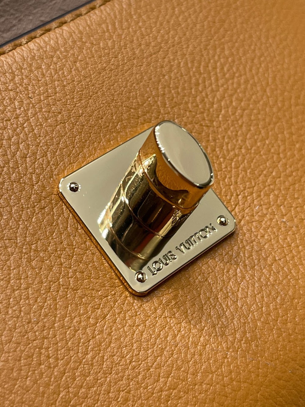 Anum Bags ln Luxury Bag --60696
