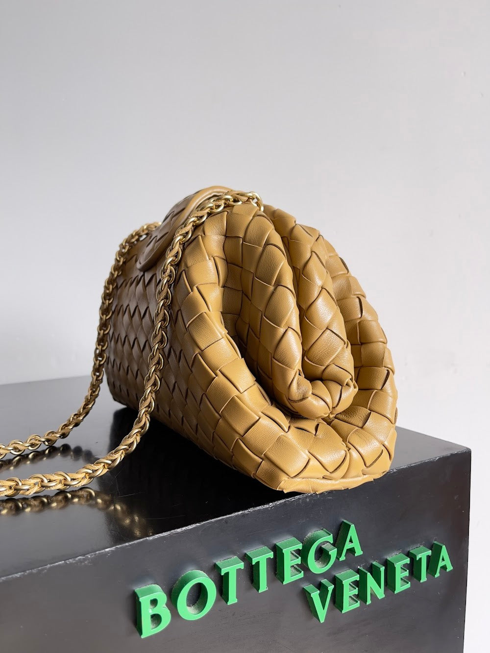 Ezyycart Bags Bottegan Luxury Bag --91087