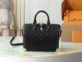 Anum Bags LVn Luxury Bag --78899
