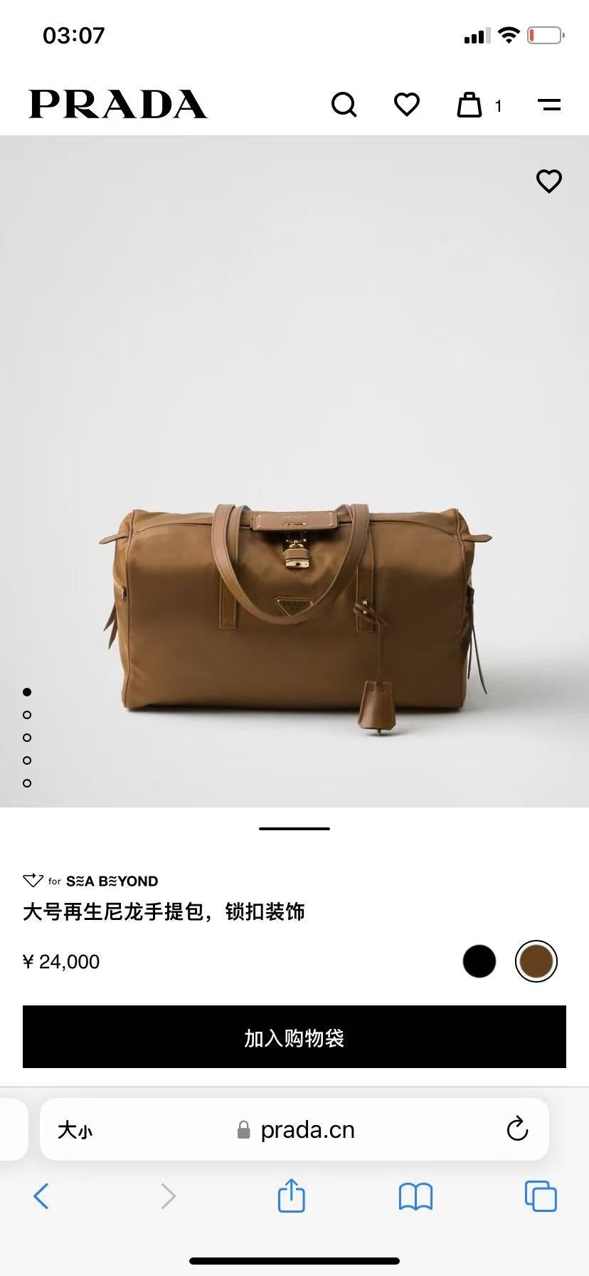 Ezyycart Bags Pradn Luxury Bag --101916