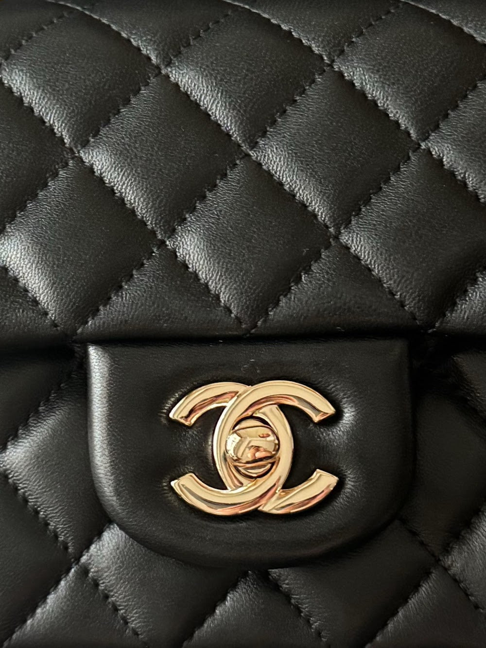 Anum Bags CHn Luxury Bag --112933