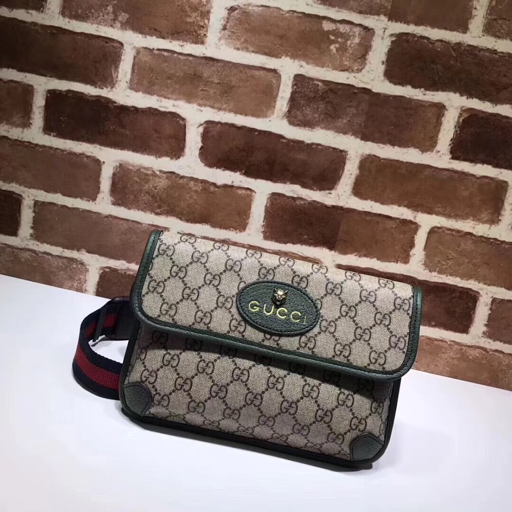 new-elite-designer-bags-nm17679