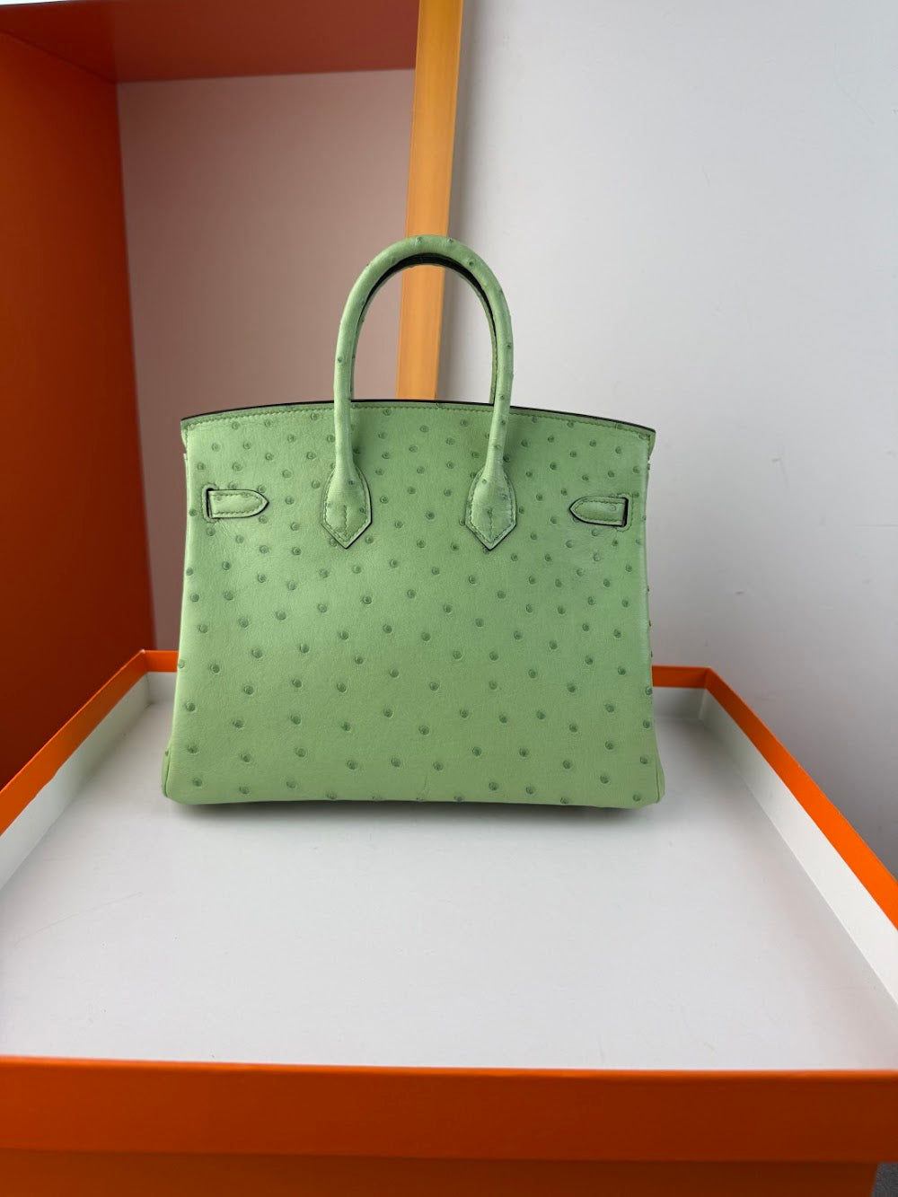 Anum Bags Hermesn Luxury Bag --116758