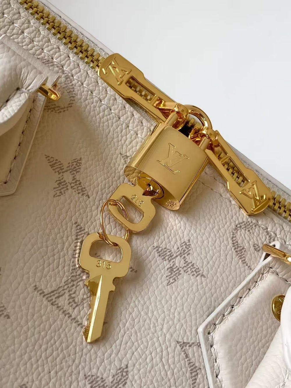 Anum Bags LVn Luxury Bag --80331