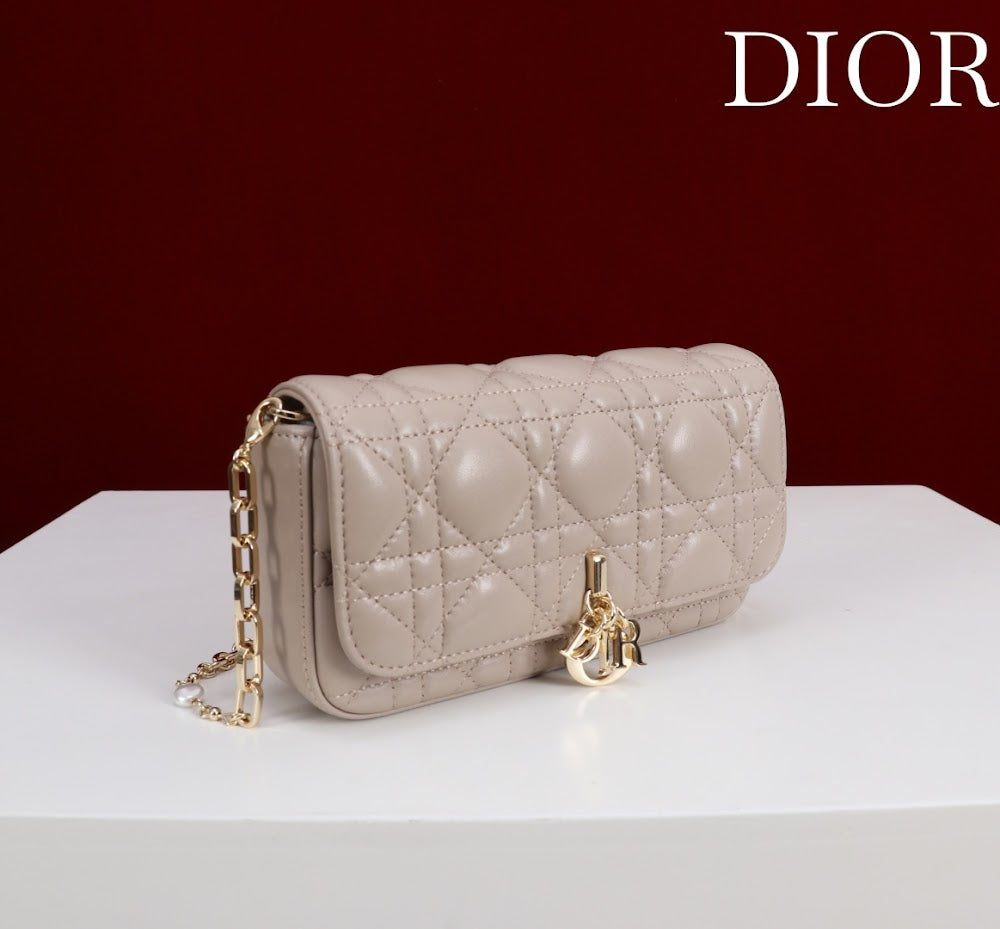 Ezyycart Bags Diorn Luxury Bag --116360