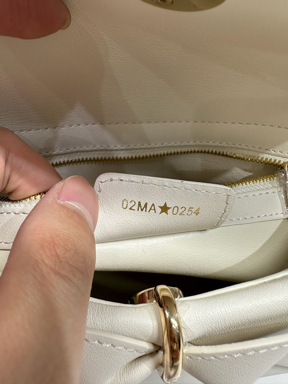 Anum Bags Diorn Luxury Bag --114859