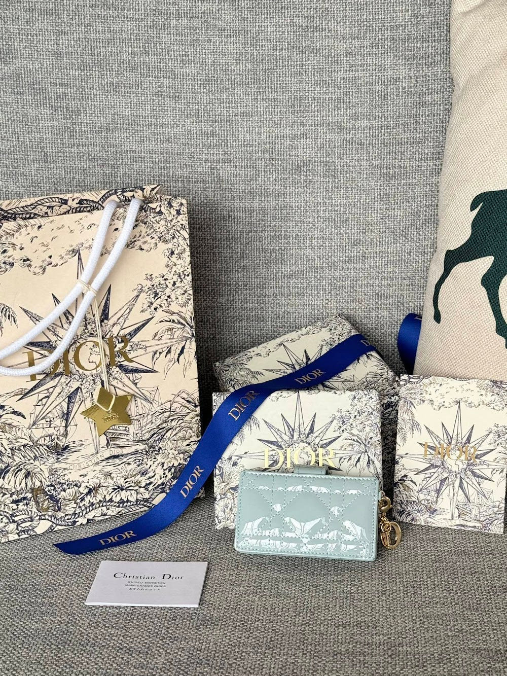 Anum Bags Diorn Luxury Bag --114599