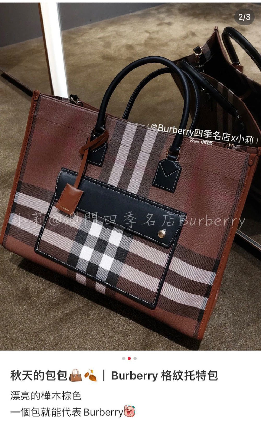 Ezyycart Bags Burberryn Luxury Bag --92839