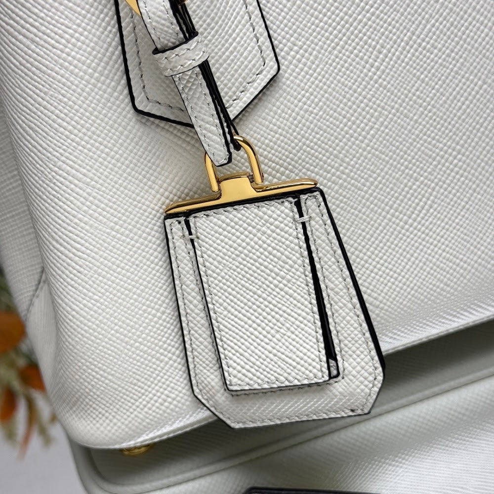 Ezyycart Bags Pradn Luxury Bag --102203