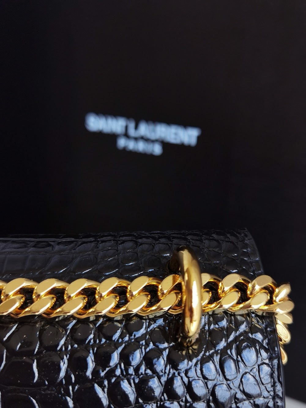 Ezyycart Bags YSLn Luxury Bag --119956