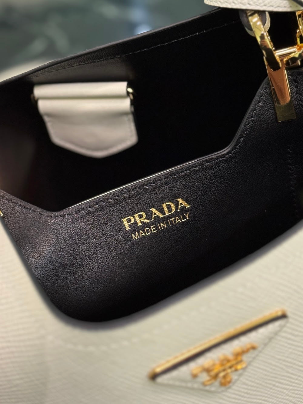 Ezyycart Bags Pradn Luxury Bag --102110