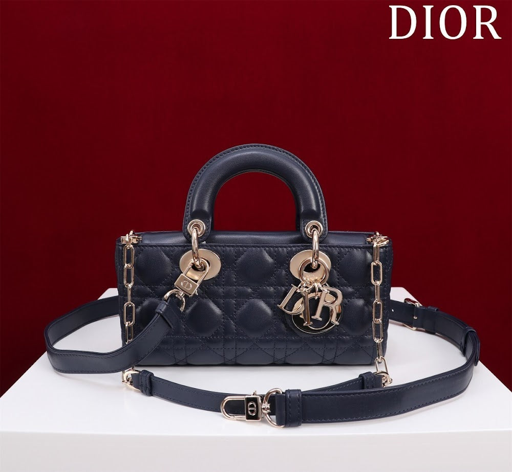 Anum Bags Diorn Luxury Bag --114763