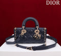 Anum Bags Diorn Luxury Bag --114763