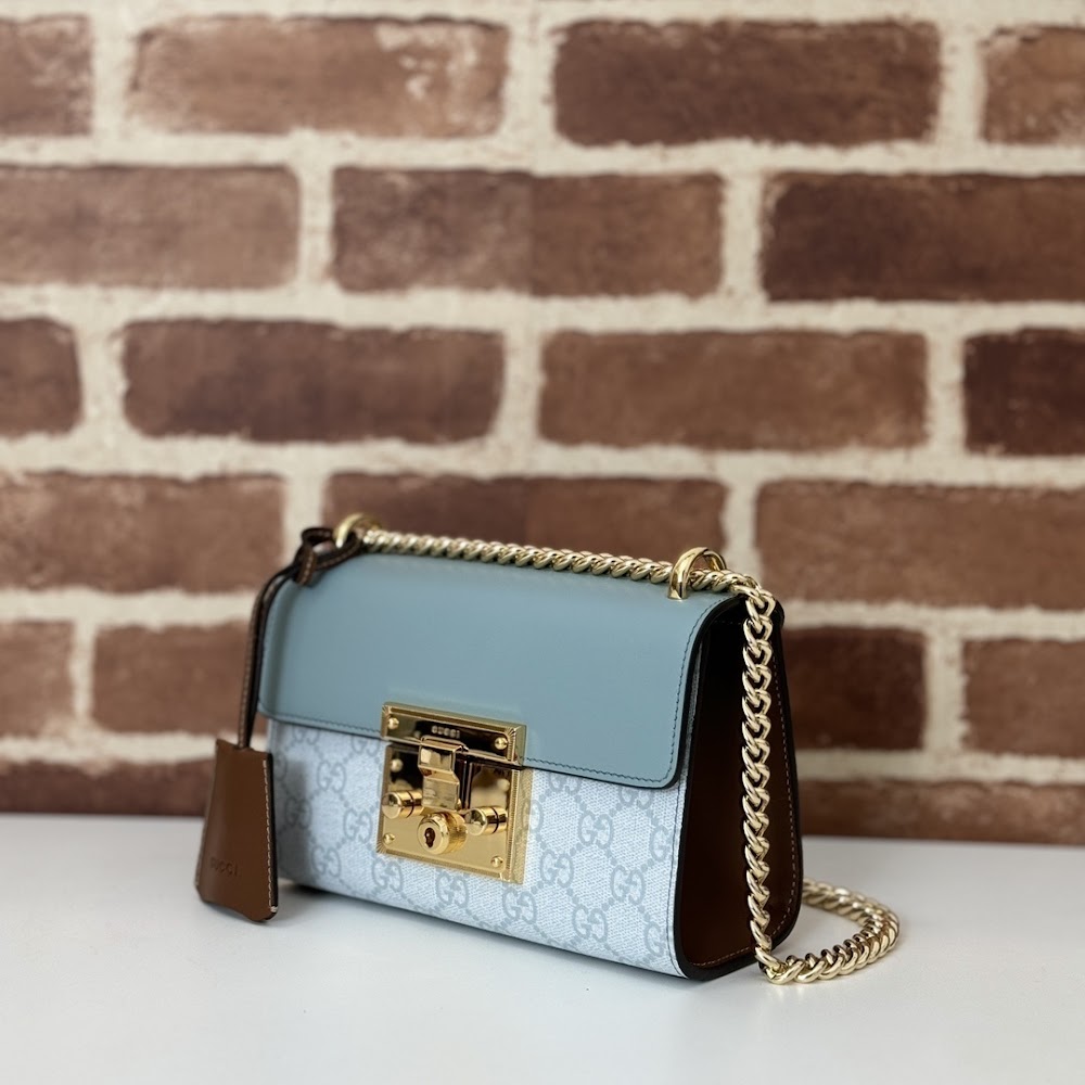 Ezyycart Bags Guccin Luxury Bag --95271