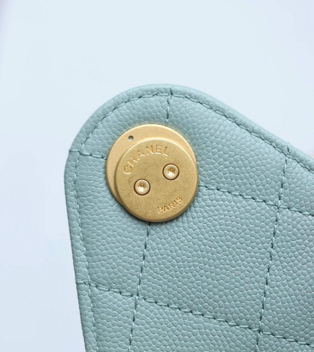 Anum Bags CHn Luxury Bag --113704