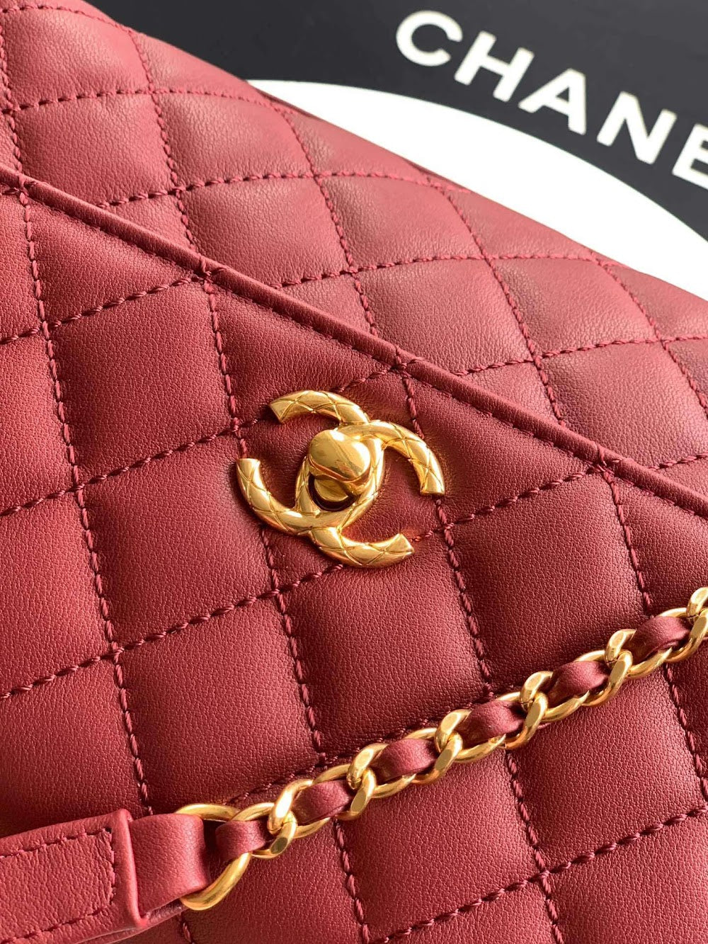 Anum Bags CHn Luxury Bag --113970