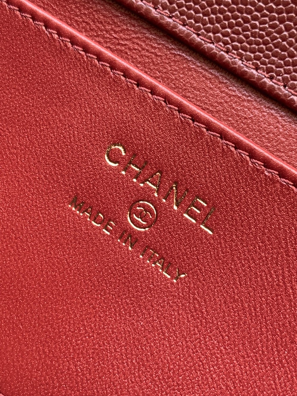 Anum Bags CHn Luxury Bag --113996