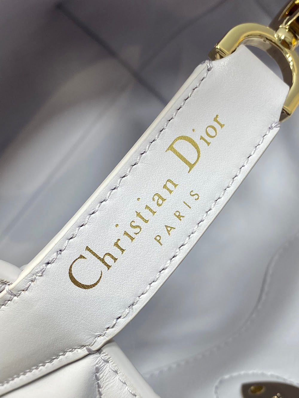 Ezyycart Bags Diorn Luxury Bag --115666