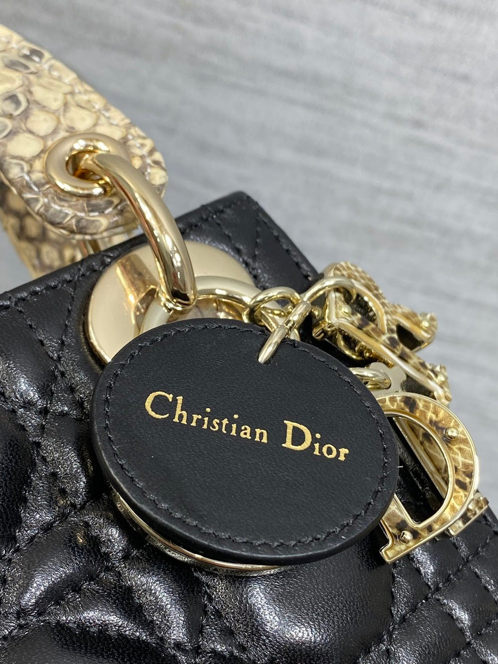 Ezyycart Bags Diorn Luxury Bag --115234