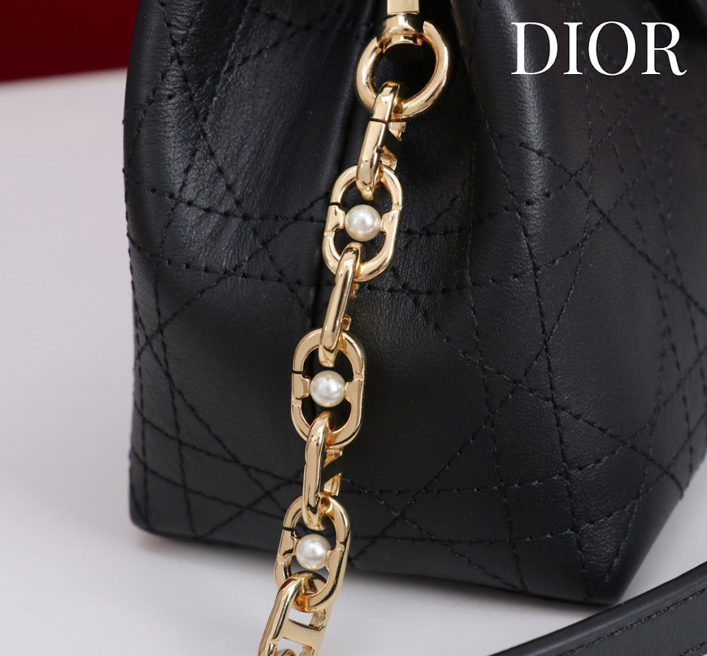 Anum Bags Diorn Luxury Bag --114445