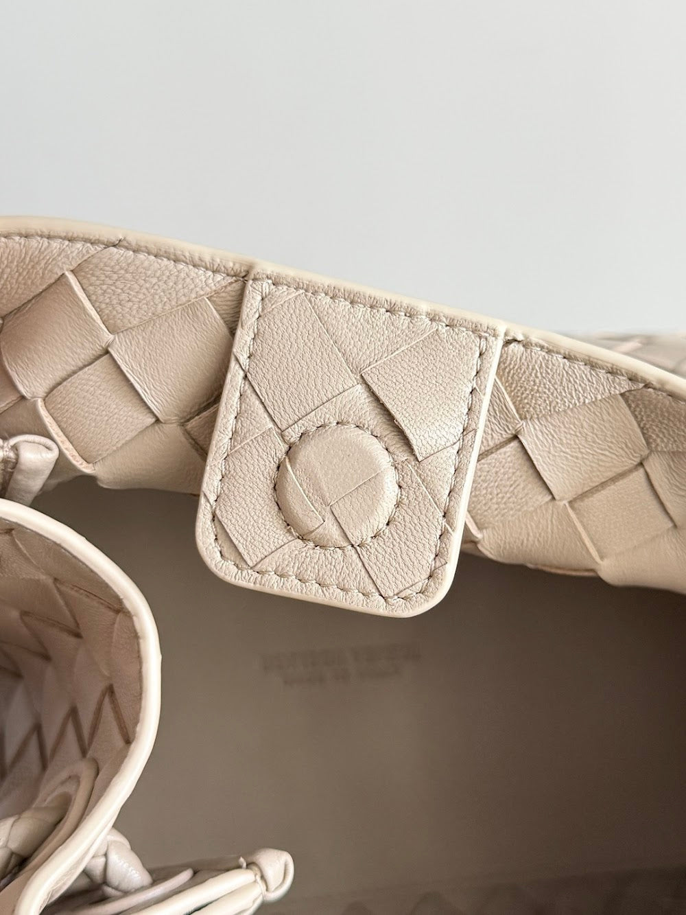 Ezyycart Bags Bottegan Luxury Bag --91382