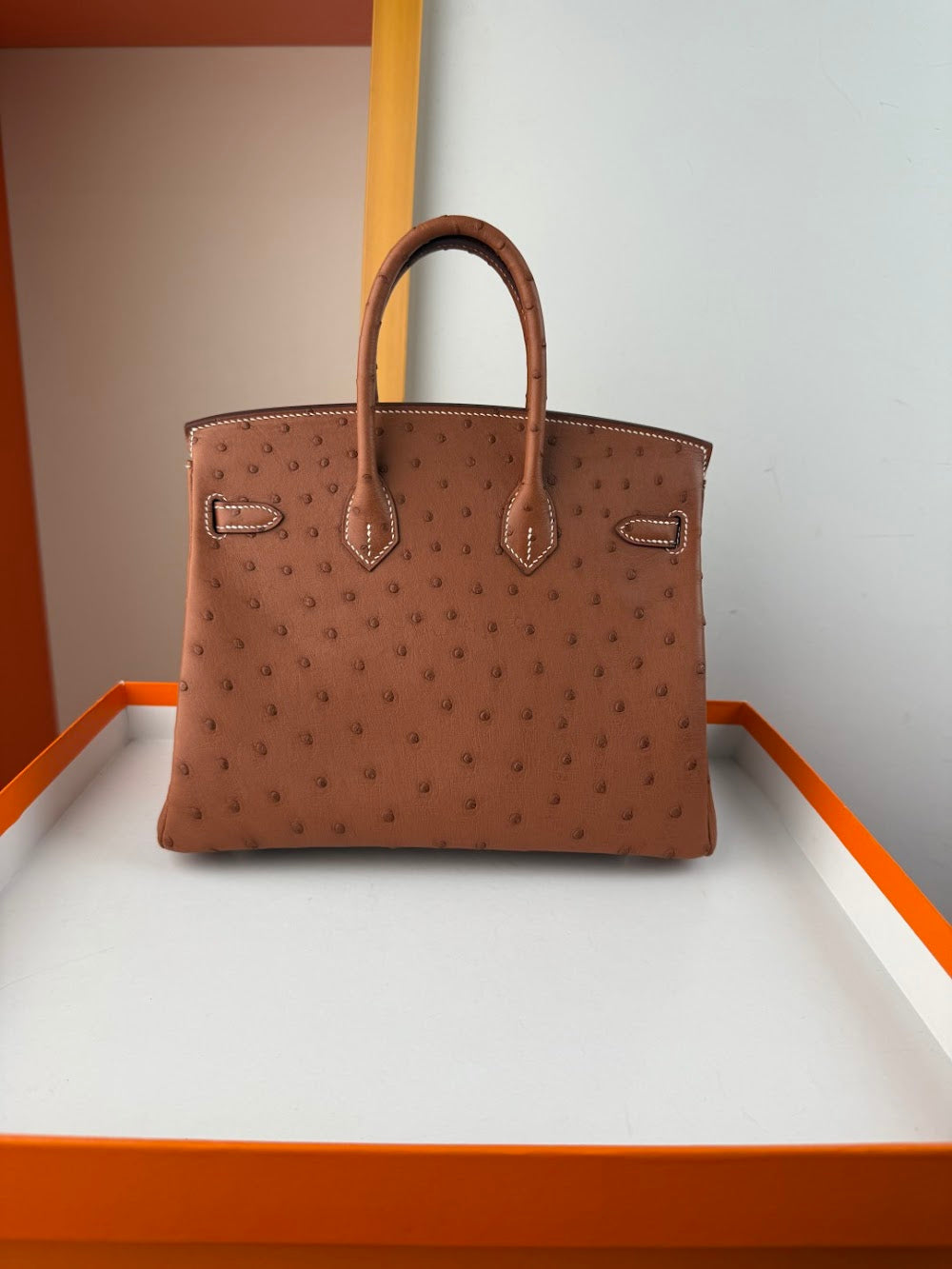 Anum Bags Hermesn Luxury Bag --116769