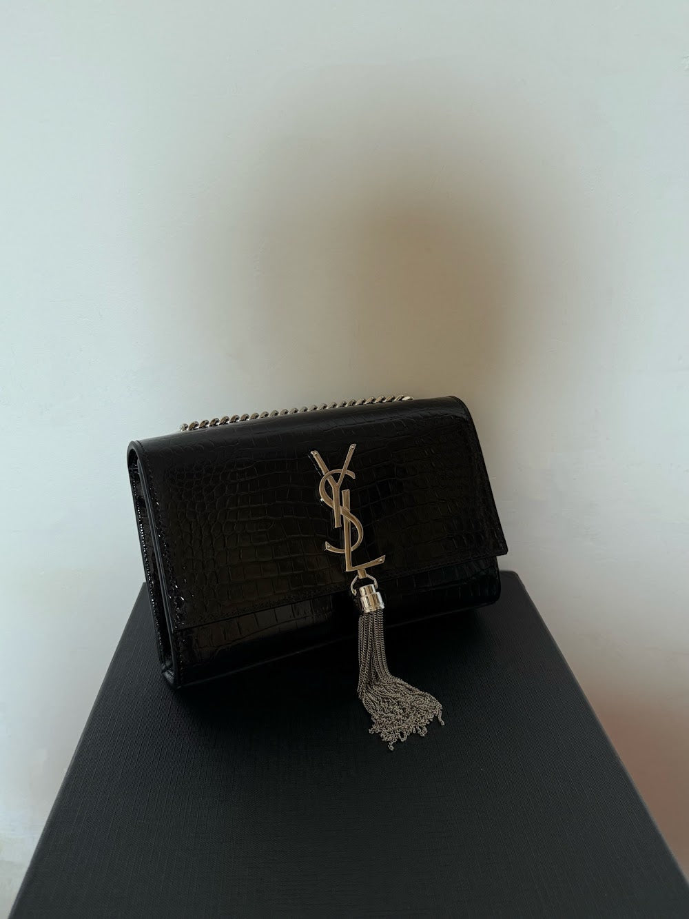Ezyycart Bags YSLn Luxury Bag --119998