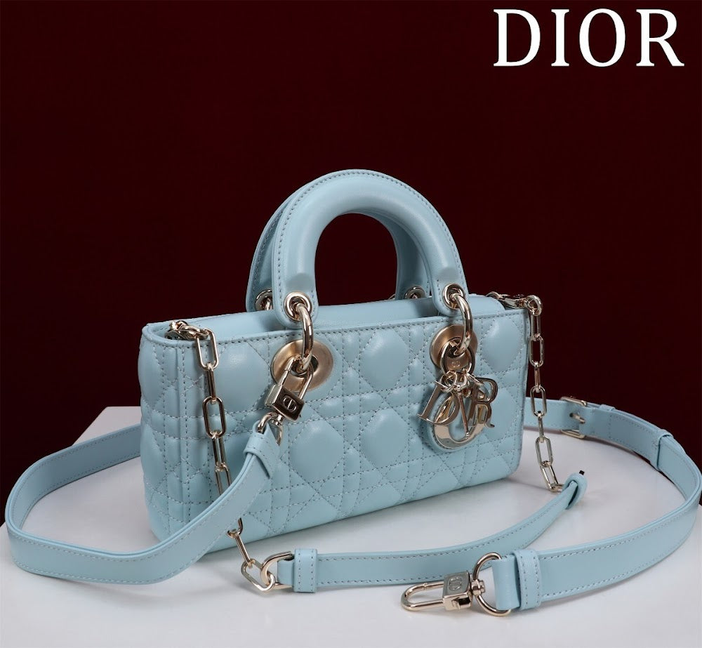 Anum Bags Diorn Luxury Bag --114752
