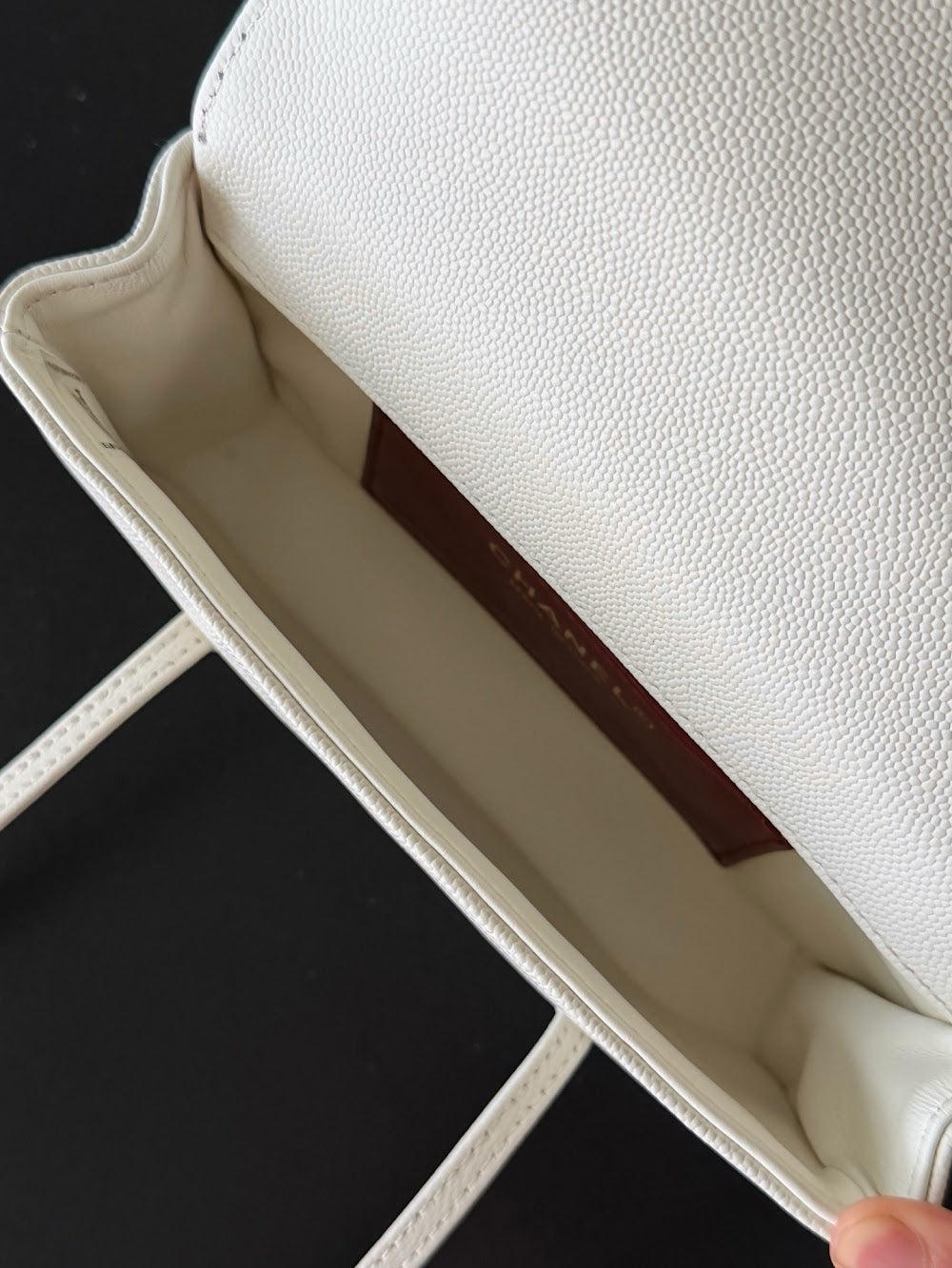 Anum Bags CHn Luxury Bag --114045