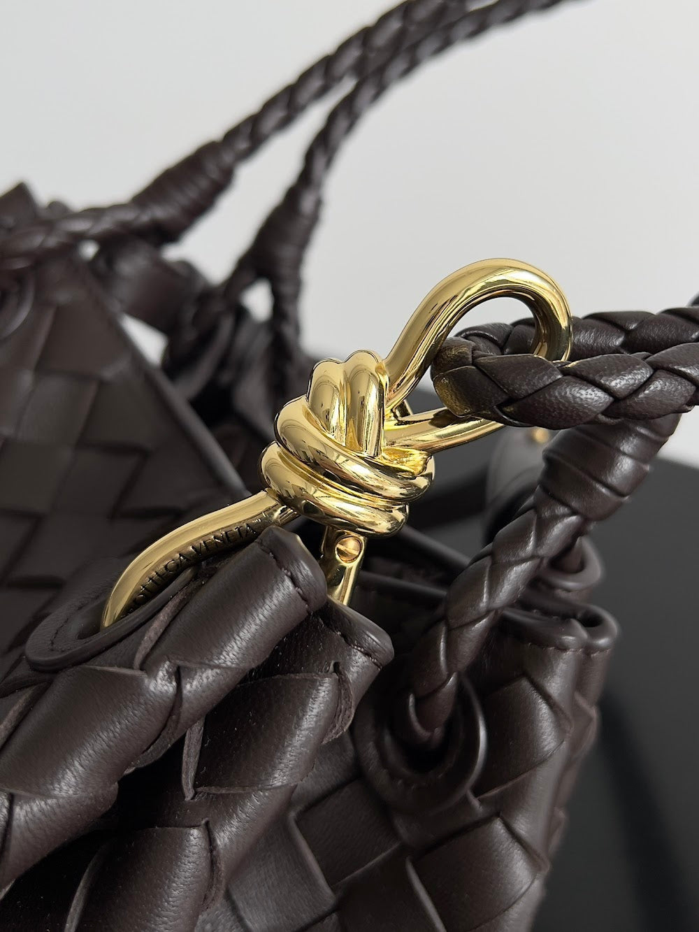 Ezyycart Bags Bottegan Luxury Bag --90946