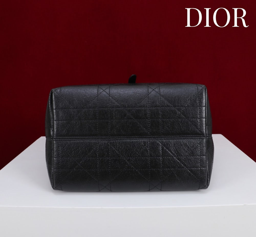 Anum Bags Diorn Luxury Bag --114887