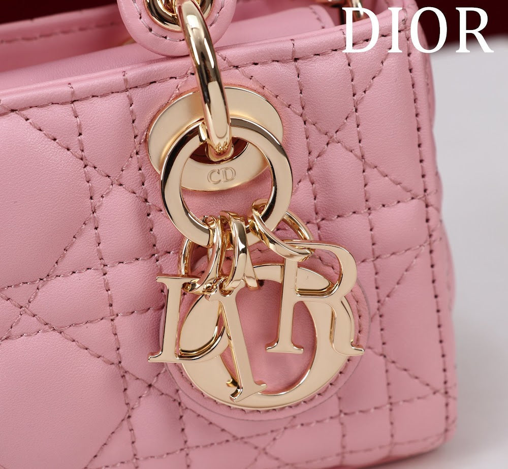 Ezyycart Bags Diorn Luxury Bag --116463