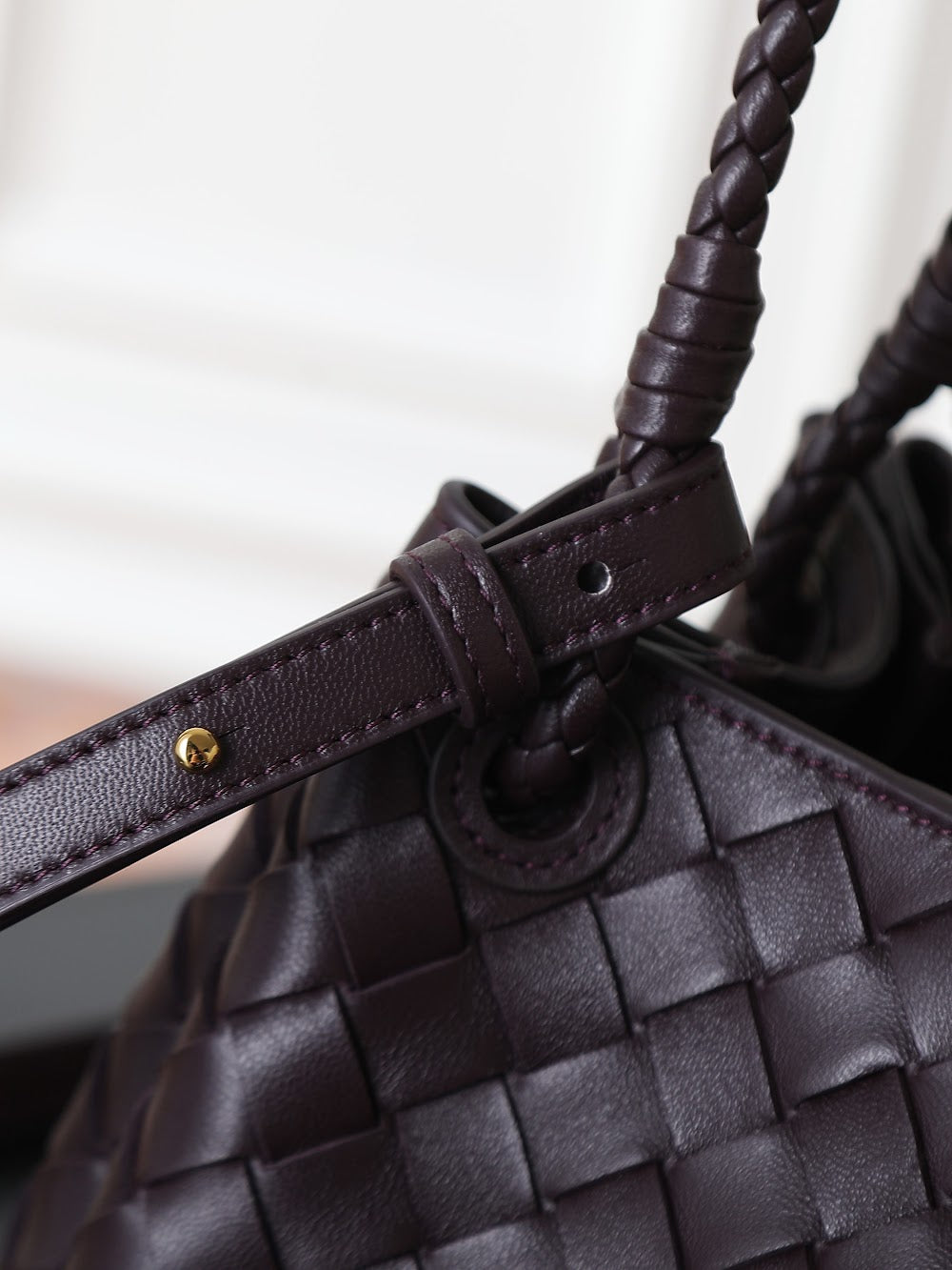 Ezyycart Bags Bottegan Luxury Bag --91327