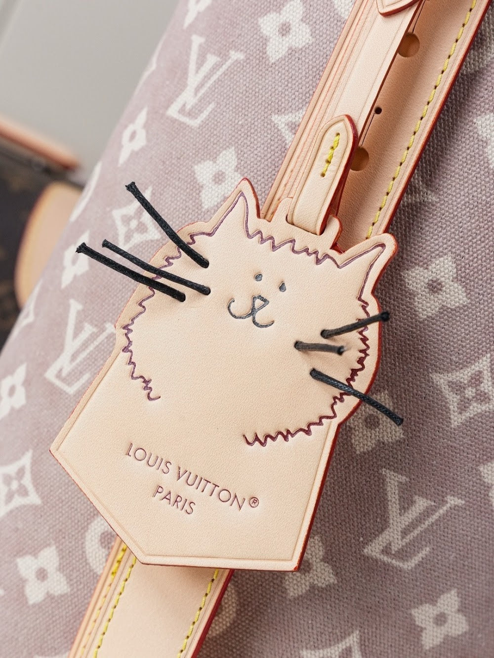 Anum Bags LVn Luxury Bag --79872